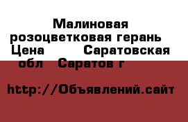 Малиновая розоцветковая герань › Цена ­ 50 - Саратовская обл., Саратов г.  »    